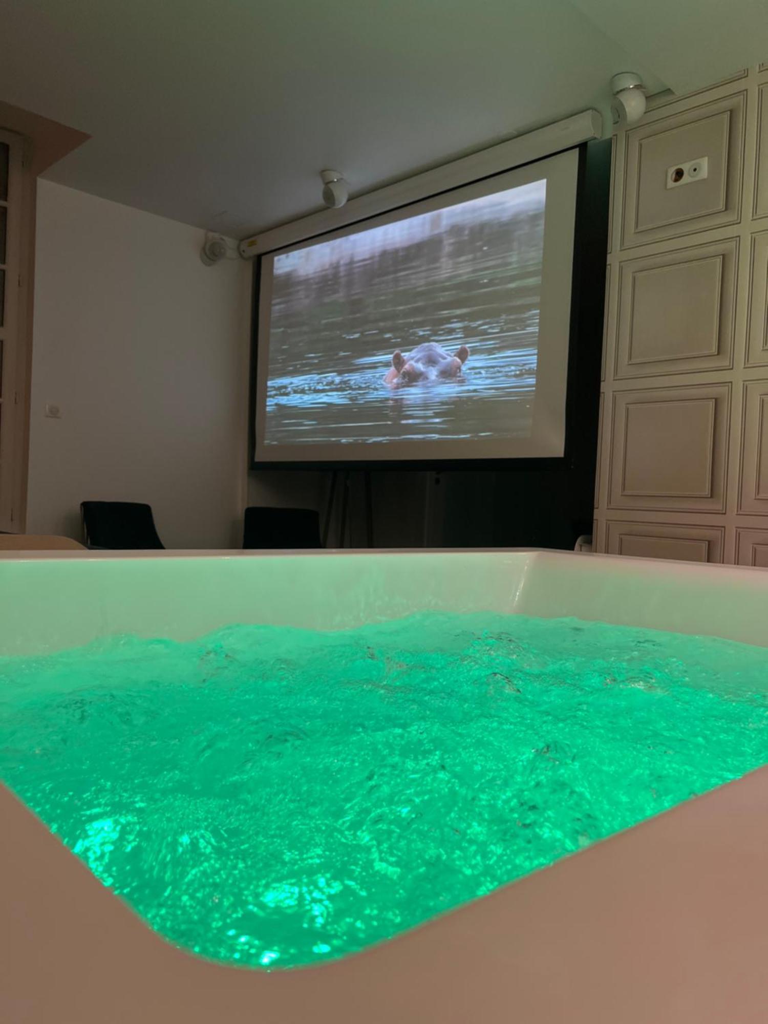 Appartement Avec Jacuzzi Sauna & Home Cinema - Nid D'Angers Ngoại thất bức ảnh